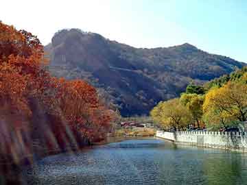 技術(shù)服務(wù)