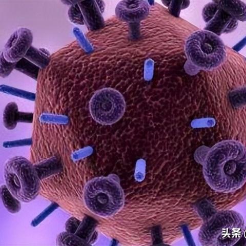 關于艾滋病的最新消息報道（2025年）