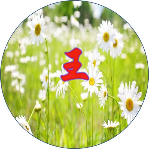 QQ女生頭像流行趨勢(shì)，最新熱門(mén)選擇與時(shí)尚風(fēng)向